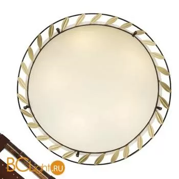 Настенно-потолочный светильник Favourite Rustica 1100-5C