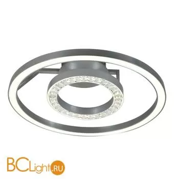 Потолочный светильник Favourite Sanori 2593-2U