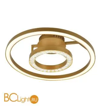 Потолочный светильник Favourite Sanori 2546-2U