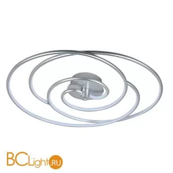 Потолочный светильник Favourite Sansara 2545-2U