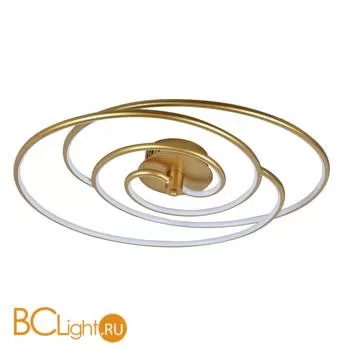 Потолочный светильник Favourite Sansara 2544-2U