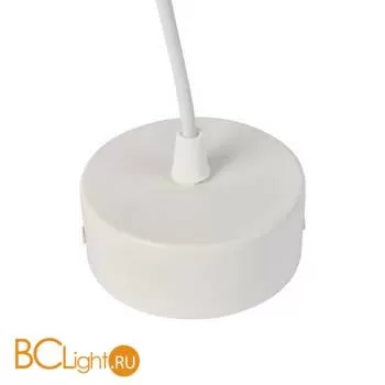 Подвесной светильник Favourite Sarkal 3078-1P - Фото 1