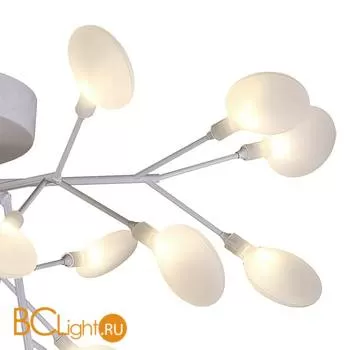 Потолочная люстра Favourite Skein 2479-9U - Фото 0