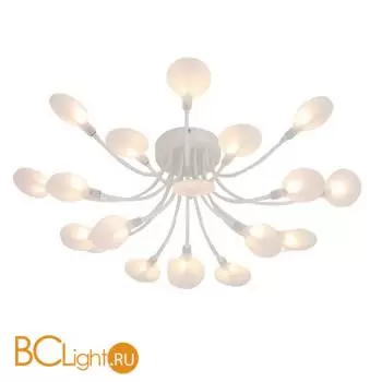 Потолочный светильник Favourite Skein 4198-20C