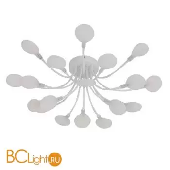 Потолочный светильник Favourite Skein 4198-20C - Фото 0
