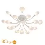 Потолочный светильник Favourite Skein 4198-20C