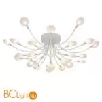 Потолочный светильник Favourite Skein 4198-28C