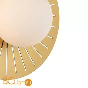 Настенный светильник Favourite Sonnenblume 2356-1W - Фото 0