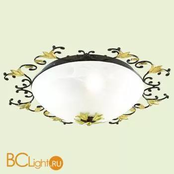 Потолочный светильник Favourite Sonniger 1232-5U