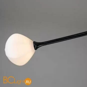 Потолочная люстра Favourite Suri 2688-6P - Фото 3