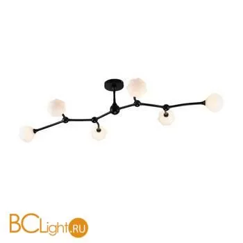 Потолочная люстра Favourite Suri 2688-6P