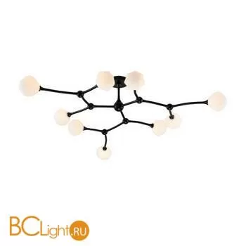 Потолочная люстра Favourite Suri 2688-9P