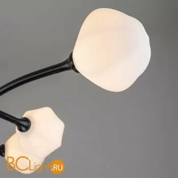 Потолочная люстра Favourite Suri 2688-9P - Фото 5