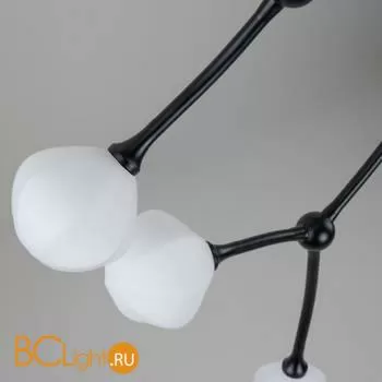 Потолочная люстра Favourite Suri 2688-9P - Фото 7