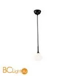 Подвесной светильник Favourite Suri 2688-1P