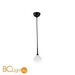 Подвесной светильник Favourite Suri 2688-1P - Фото 0