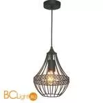 Подвесной светильник Favourite Terra 1800-1P - Фото 0