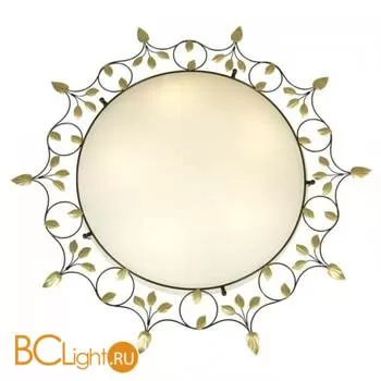 Настенно-потолочный светильник Favourite Terra 1101-5C