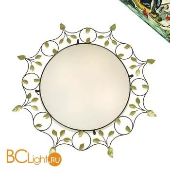 Настенно-потолочный светильник Favourite Terra 1101-4C