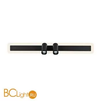 Потолочный светильник Favourite Trick 4079-2C