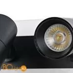 Потолочный светильник Favourite Trick 4079-2C - Фото 9