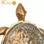 Настенный светильник Favourite Turtle 2254-1W - Фото 0