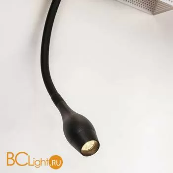 Настенный светильник Favourite Twin 4066-2W - Фото 3