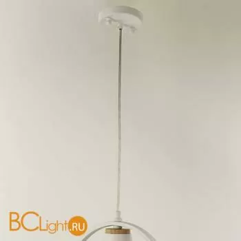 Подвесной светильник Favourite Uccello 2939-1P - Фото 2