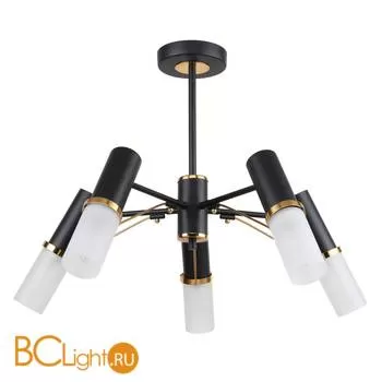 Потолочная люстра Favourite Viator 2558-5P