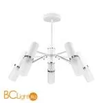 Потолочная люстра Favourite Viator 2559-5P