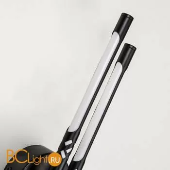 Настенный светильник Favourite Wand 4098-2W - Фото 4