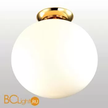 Потолочный светильник Favourite Zirkel 1531-1C2