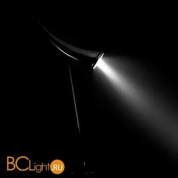 Настольная лампа Flos Ara' F0250357 - Фото 2