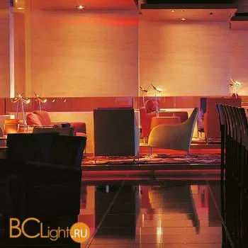 Настольная лампа Flos Ara' F0250357 - Фото 7