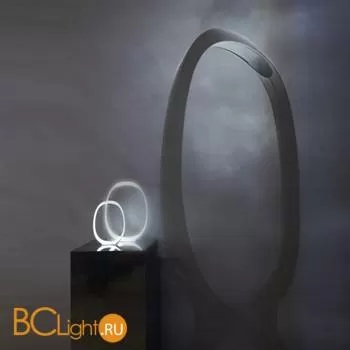 Настольная лампа Foscarini Anisha 2130012R1 10 - Фото 1