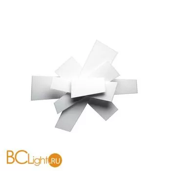 Настенно-потолочный светильник Foscarini Big Bang 151005 10 - Фото 0
