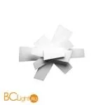 Настенно-потолочный светильник Foscarini Big Bang 151005 10 - Фото 0