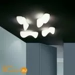 Потолочный светильник Foscarini Blob 124035 10 - Фото 1