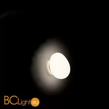 Настенно-потолочный светильник Foscarini Gregg 1680052 10