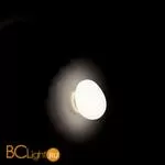 Настенно-потолочный светильник Foscarini Gregg 1680052 10