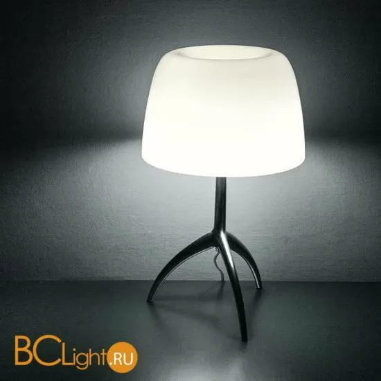 Настольная лампа Foscarini Lumiere 026011R2 11