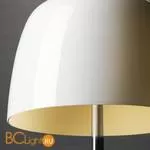 Настольная лампа Foscarini Lumiere 026001R2 11 - Фото 0