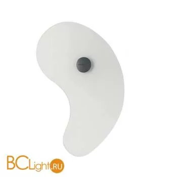 Настенный светильник Foscarini Orbital 0430051 10