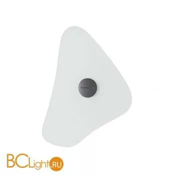 Настенный светильник Foscarini Orbital 0430054 10