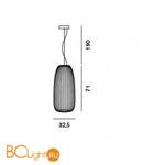 Подвесной светильник Foscarini Spokes 2640071R1-22 - Схема