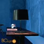 Настольная лампа Foscarini Twiggy 1590011 20
