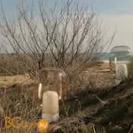 Настольная лампа Foscarini Yoko 239001 50 - Фото 1