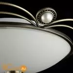 Потолочный светильник Freya Amado FR2700-CL-02-BZ - Фото 1