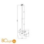 Подвесной светильник Freya Amoris FR5128PL-L10BS1 - Фото 5