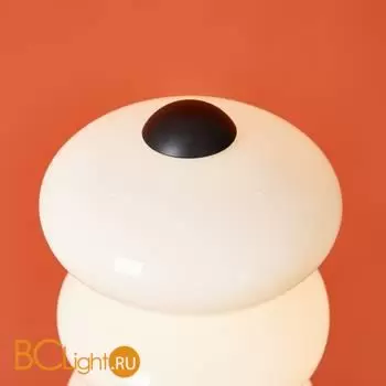 Торшер Freya Aqua FR5553FL-L20B - Фото 4